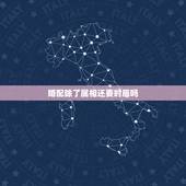 婚配除了属相还要时辰吗，婚配是看年生肖还是时辰生肖？