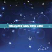 属相和彩票幸运数字你的幸运数字，星座属相幸运吉祥数字
