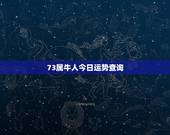 73属牛人今日运势查询，1973年属牛财运怎么样