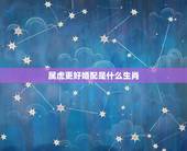 属虎更好婚配是什么生肖，女性属虎的更佳配偶
