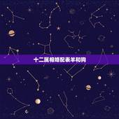 十二属相婚配表羊和狗，属狗婚配表，狗男跟什么属相最配