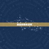 属鼠的明年运势，属鼠人今年运势2021年每月运势 女