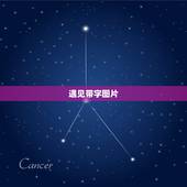 遇见带字图片，请帮我用这张图为背景制作一个字中字图片，大字是 遇见 小