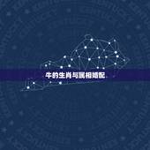 牛的生肖与属相婚配，属牛和属牛的八字结婚合不合