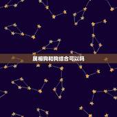 属相狗和狗结合可以吗，属狗和属狗在一起合适吗？