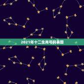 2021年十二生肖号码表图，2021年躲星生肖对照表