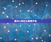 属马人和什么属相不合，属马的与什么属相相克