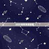 2021年怀孕清宫图，清宫图2021年生男生女表怎么算
