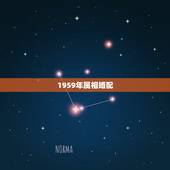 1959年属相婚配，59年男猪与64年女龙婚配吗