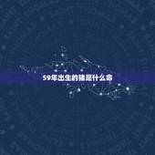 59年出生的猪是什么命，71年出生的仁五行属什么