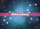 属猪男找什么属相更好，属猪男和什么属相女最合