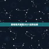 属相兔天蝎座2021运势全解，2021天蝎座全年运势