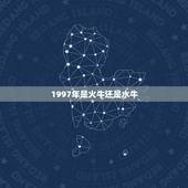 1997年是火牛还是水牛，山头火喜见涧下水什么意思