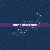属羊的人婚配属狗的好吗，属羊与属狗是否不宜婚配