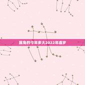 属兔的今年多大2022年虚岁，96年属鼠女2022 年运势
