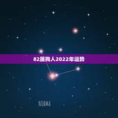 82属狗人2022年运势，82年属狗2021年的运势