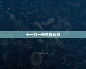十一月一日生肖运势，十二生肖属狗一九八二年十一月十五出生的财运