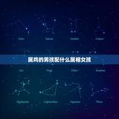 属鸡的男孩配什么属相女孩，属鸡的男性和什么属相的女性最配
