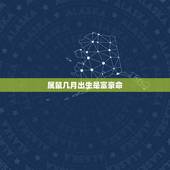 属鼠几月出生是富豪命，1984属鼠一生有二婚