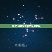 2021招财又吉利的抖音名字，2021抖音最旺最好的名字