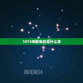1975年属兔的是什么命，1975年是什么年庚