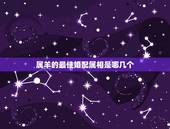属羊的最佳婚配属相是哪几个，1992年婚姻最配属相
