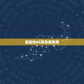 老鼠怕84消毒液视频，84消毒液能驱赶老鼠吗