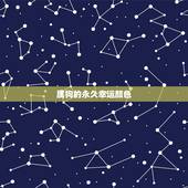 属狗的永久幸运颜色，最旺属狗人的5个数字