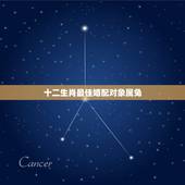 十二生肖最佳婚配对象属兔，属兔的男人和什么属相最配