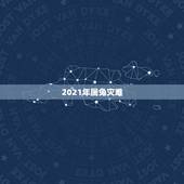 2021年属兔灾难，2021年兔子的运势如何