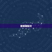 查婚姻配对，猪虎婚姻配对 八字五行