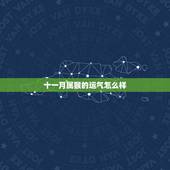 十一月属猴的运气怎么样，十一月出生的猴女的好不好