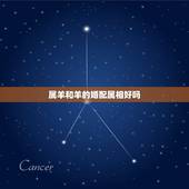 属羊和羊的婚配属相好吗，属羊的和哪个属相配