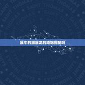 属牛的跟属龙的婚姻相配吗，属牛和龙的在一起好吗