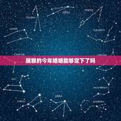 属猴的今年婚姻能够定下了吗，属猴今年运势2018年