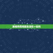 属相鸡和鸡能生活在一起吗，属鸡的跟属鸡在一起可以吗