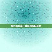 属白羊男和什么属相相配最好，91年属羊男白羊座和属什么的好