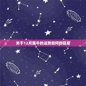 关于12月属牛的运势如何的信息