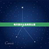 每天属什么生肖怎么查，今日属相是什么？在哪可以查每日属相？