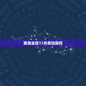 属兔生在11月命运如何，属兔1999年11月05日十点至十一点出生命运