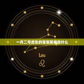 一月二号出生的宝宝属相是什么，二零一八年一月二十五号出生的孩子应该属什