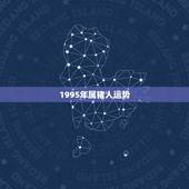 1995年属猪人运势，属猪的双子座今年和明年的工作运势怎样？