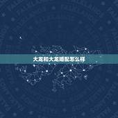 大龙和大龙婚配怎么样，大龙和大龙能不能婚配