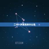 二十一岁属龙的什么命，属龙33岁是什么命