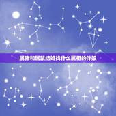 属猪和属鼠结婚找什么属相的伴娘，属马和什么相冲