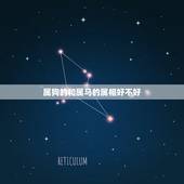 属狗的和属马的属相好不好，属狗和属马合财吗