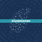 属马的和属龙的合婚吗，属马的和属牛的合财吗