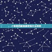 一等命的属相姜花是什么样的，十二生肖的各属于什么命