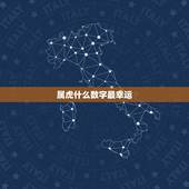属虎什么数字最幸运，属虎终身幸运颜色多少，数字是多少