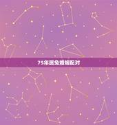 75年属兔婚姻配对，属兔75年的和什么属相最配